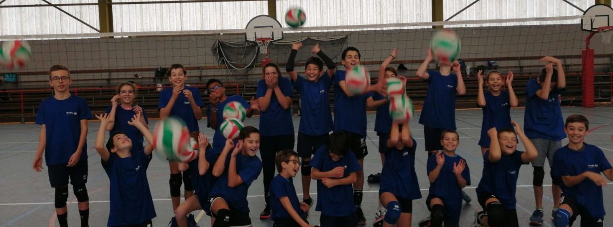 Comité Départemental de Volley Ball d'Indre et Loire