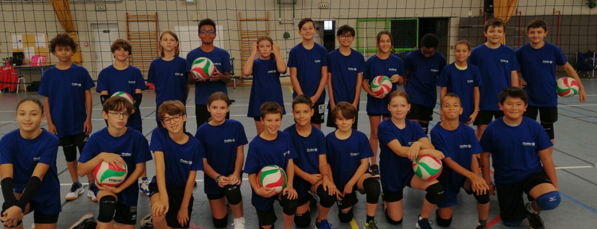 Comité Départemental de Volley Ball d'Indre et Loire