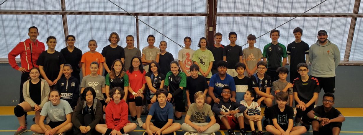 Comité Départemental de Volley Ball d'Indre et Loire