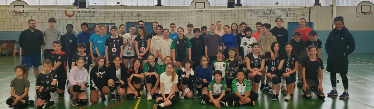 Comité Départemental de Volley Ball d'Indre et Loire