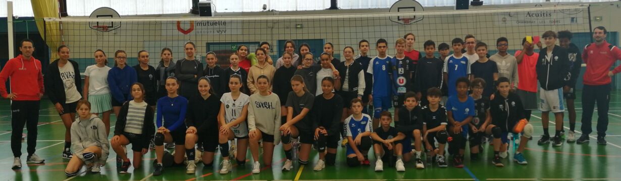 Comité Départemental de Volley Ball d'Indre et Loire